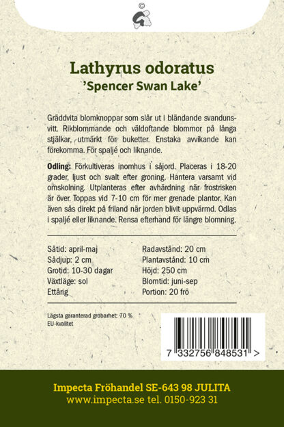 Frö Spencer Swan Lake baksida