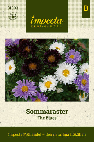 aster