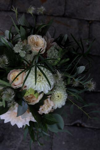 Brudbinderi - Aprikos/vit